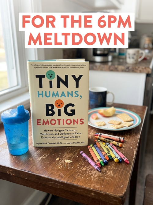 Tiny Humans, Big Emotions: How to Navigate Tantrums, Meltdowns, and Defiance to Raise Emotionally Intelligent Children―An Essential Guide for Caregivers of Children from Infancy to Age Eight [Paperback Book]